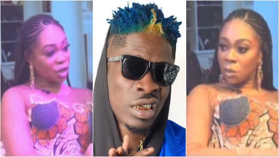 I ran away without chalewote; nobody knows this - Michy opens can of worms about Shatta Wale after his bail in video