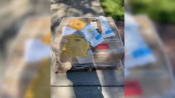 Woman receives hundreds of packages from Amazon without ordering for them