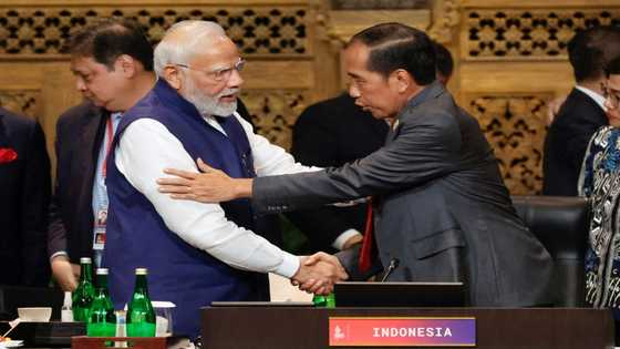 Indonesian leader says negotiations on G20 declaration 'very tough'