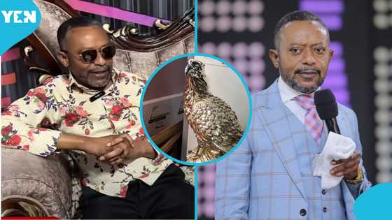 Rev Isaac Owusu Bempah Says He Owns 10 Eagles At Home, Explains Why