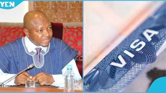 US denies NDC bigwig 5-year visa renewal, issues 3-month single entry instead