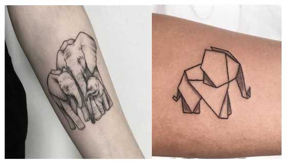 30+ cool elephant tattoo ideas, what they mean and placement options