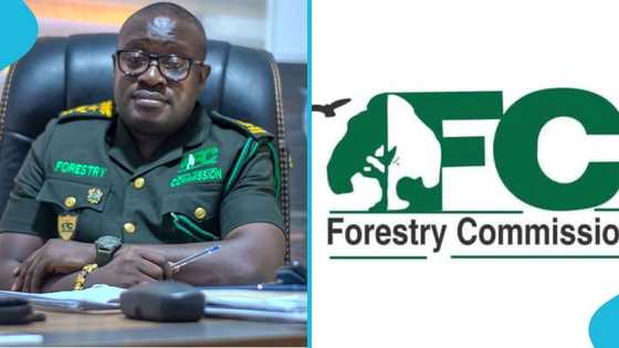 Forest Commission boss appeals for weapons to fight galamsey in forest reserves