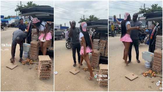 Ras Nene and Efia Odo quarrel over spilt eggs in funny video; sparks reactions