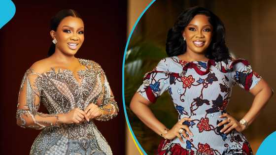 Serwaa Amihere advises women to stop gifting boxers on Valentine's Day, video