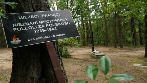 Remains of 8,000 Nazi war victims found in Poland