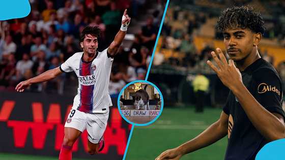 PSG or Barcelona? Mysterious cat makes bold Champions League prediction