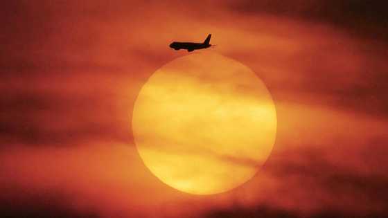European airlines drop vague promises on carbon offsets