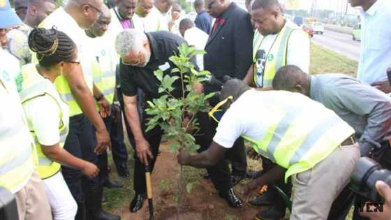 Rawlings leads tree-planting exercise to mark 40th June 4 celebration