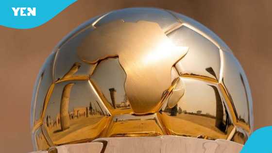 Why Morocco refused to host 2026 Women’s AFCON, with just 43 days to go