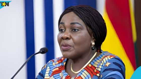 CID reportedly invites former Sanitation Minister Cecilia Dapaah for questioning