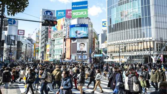 'True balance': Japan's quiet telework revolution