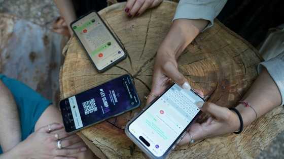 AI chatbot helps victims of digital sexual violence in Latin America