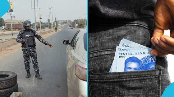 Extortion gone wrong: Police officers arrested for allegedly seeking bribe from Nigeria's anti-corruption boss