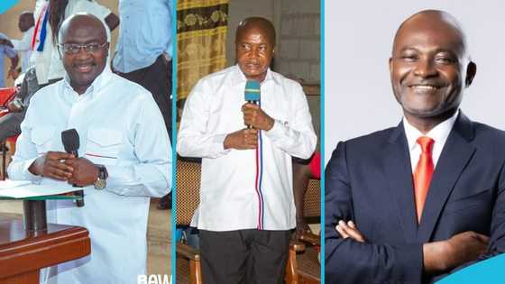 NPP chairman takes temporary break from "Thank You Tour" amid tension between Bawumia and Ken camps
