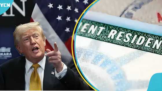 US explains exactly how green card holders can become American citizens