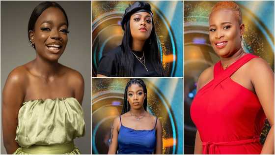 BBNaija 2021: Meet Arin with 17 piercings, Princess who has crush on Bukola Saraki, other female contestants