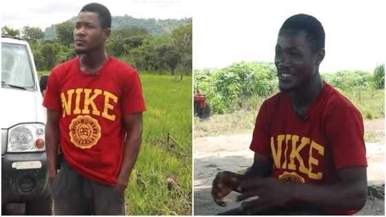 23 year old Legon student who is now large scale farmer reveals how profitable it is: encourages youth to venture into it