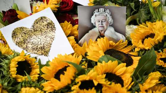 Well-wishers start two-day wait to see Queen Elizabeth's coffin