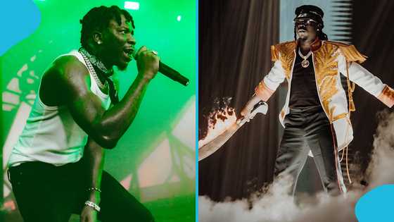 Stonebwoy previews first single for 2025, fans react: "Bwoy never rests"