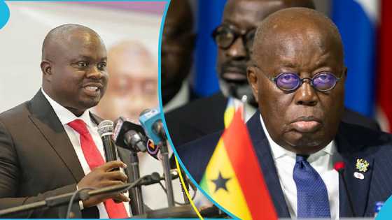 Akufo-Addo chides GJA president after he calls him out on arrest of protestors