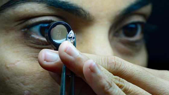 India exporters cautiously optimistic as US tariff deadline looms