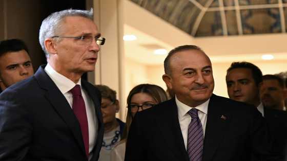 NATO chief says 'time to welcome' Finland, Sweden into alliance