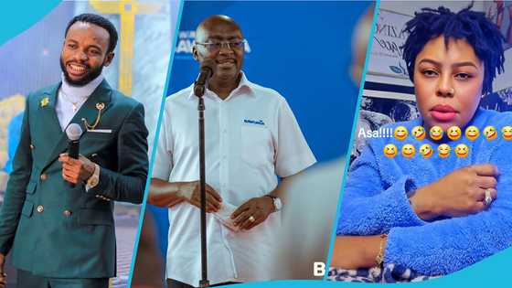 Afia Schwarzenegger cautions Prophet Roja over statements on Dr Bawumia’s candidature