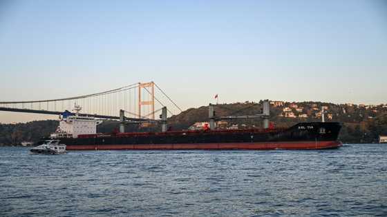 UN, Russia hold talks on grain, fertiliser exports