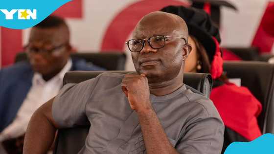 Akufo-Addo appointee reportedly paid GH¢ 8.2m after being posted as NSS volunteer