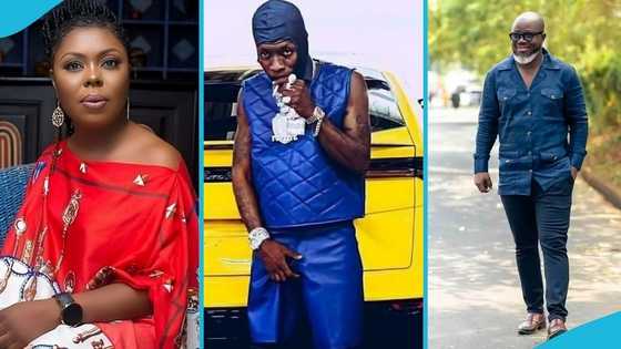 Afia Schwarzenegger blasts EOCO boss over Shatta Wale’s Lamborghini seizure