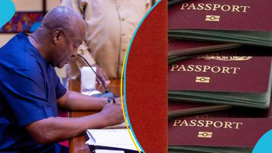 Foreign affairs ministry releases categories affected by diplomatic passport recall