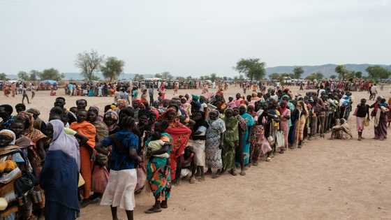 Aid groups press to stop Sudan 'man-made' famine as 755,000 projected to starve