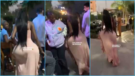 Curvy Ghanaian lady shakes heavy behind at party, many compare her to Hajia Bintu, video trends
