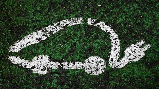 Tens of thousands sign up for French electric car leasing scheme