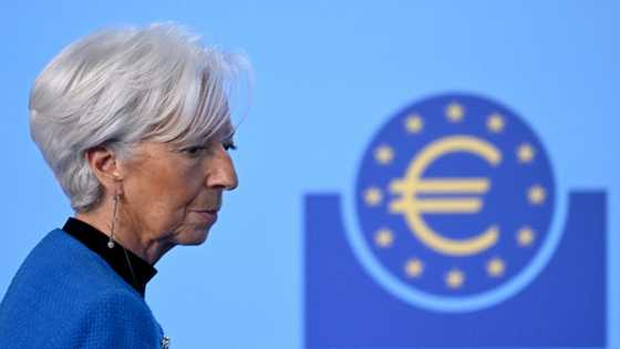 Trump tariff rollercoaster complicates ECB rate call