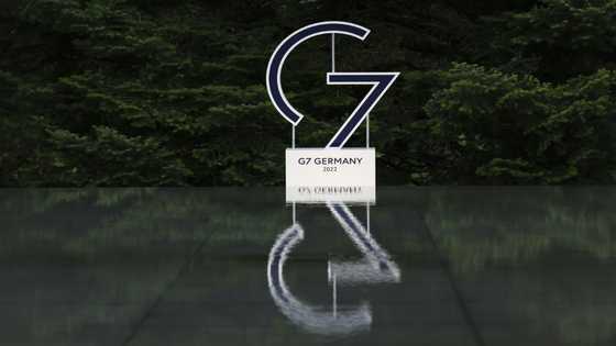 As Ukraine fallout worsens, G7 seeks to woo fence-sitters
