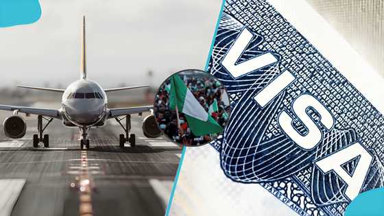 List of visa-free countries Nigerians can visit surfaces