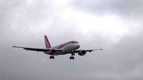 Easyjet warns of another annual loss