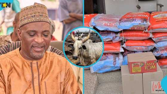 Eid-ul-Adha 2026: Muntaka Mubarak donates 13 cows & other items to constituencies in Ashanti Region
