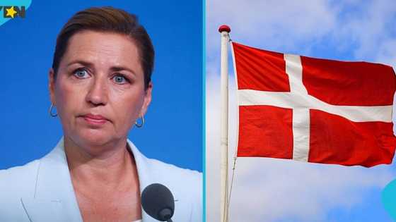 Denmark shares 6 categories of foreigners exempt from residence permit expiry rules