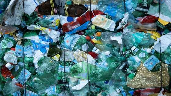 European plastics industry 'in trouble' as market share falls