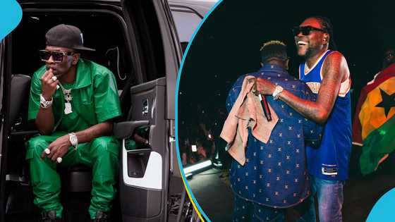 Shatta Wale's fans blast Stonebwoy as Vybz Kartel praises him, video trends