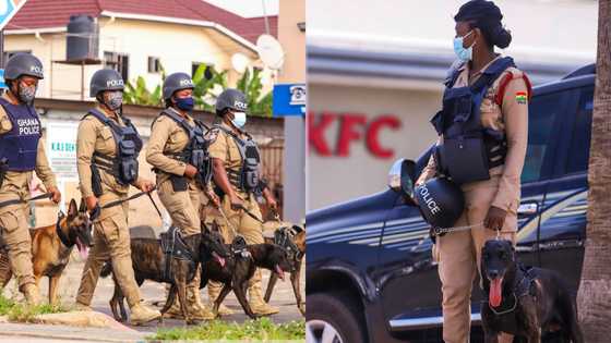 Dampare adds dog patrol to new reforms in Ghana Police Service at vantage points; photos drop