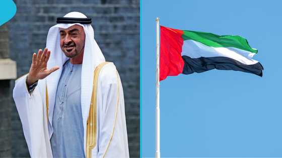 UAE explains conditions under which foreigners can lose citizenship
