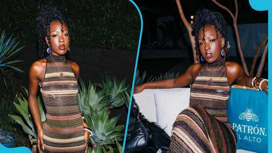 Elsa Majimbo: Kenyan comedian hails Ghanaian men and nightlife, netizens react