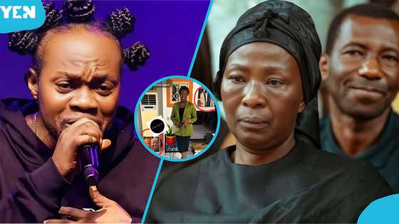 Video showing Akosua Serwaa and her children's photos in Daddy Lumba's home triggers reactions