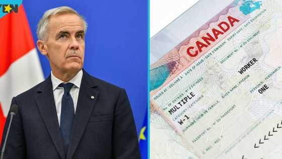 Canada names 3 categories of foreigners who can get work permit fee waiver