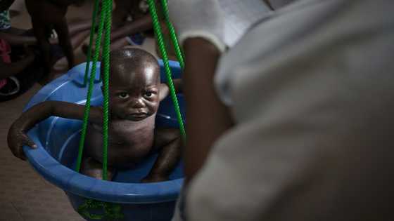 UN warns C. Africa facing food insecurity crisis