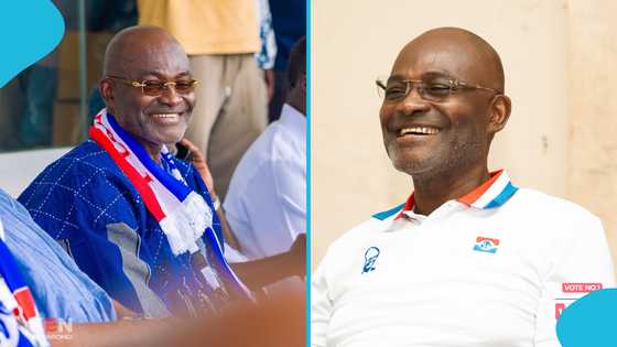 2029 NPP Primaries: Team Ken jubilates at his campaign office before official results are declared